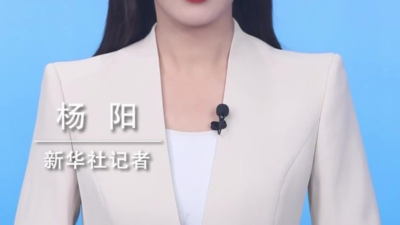 医疗数据服务的核心功能与技术差异